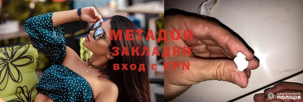 шишки Рославль