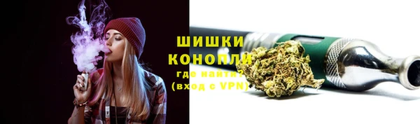 прущие грибы Бронницы